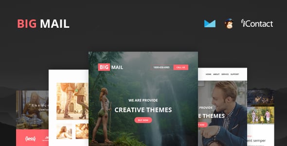 Big Mail - Responsive E-mail Template + Online Access 