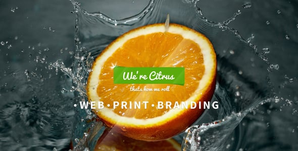 Citrus - OnePage Portfolio PSD Template