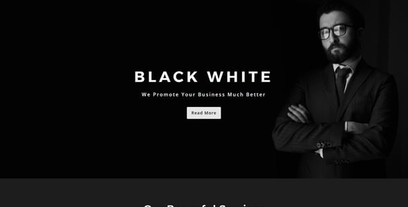 Black - White - Multipurpose Responsive HTML Landing Page