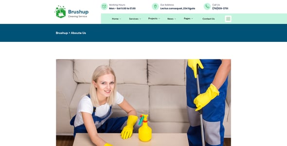 Brushup - Cleaning Company Adobe XD Template
