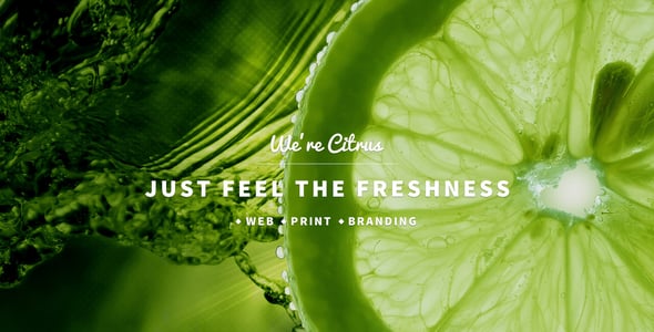 Citrus - OnePage Portfolio PSD Template