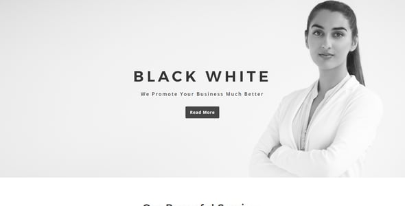 Black - White - Multipurpose Responsive HTML Landing Page