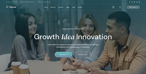Gurus - Business Consulting WordPress Theme Gurus - Business Consulting WordPress Theme