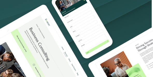 Execor – Accounting and Management Consulting WordPress Theme