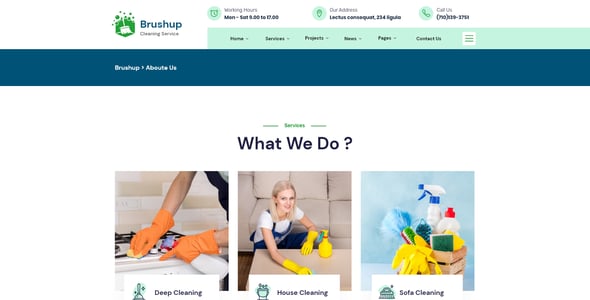 Brushup - Cleaning Company Adobe XD Template