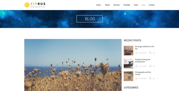 Citrus - OnePage Portfolio PSD Template