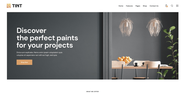 Tint - Renovation, Painting & Wallpapering WordPress Theme Tint - Renovation, Painting & Wallpapering WordPress Theme