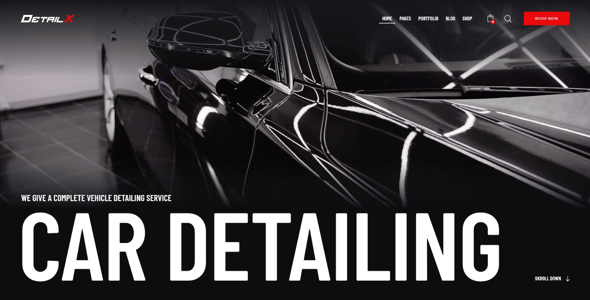 DetailX - Car Detailing, Shop & Repair Theme