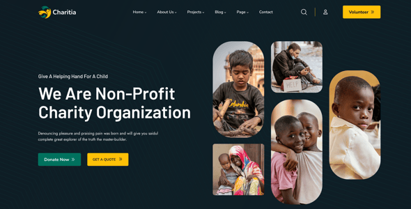 Charitia - Charity & Donation HTML Template