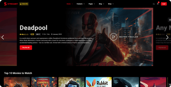 Streamit WP - Video Streaming WordPress Theme Streamit WP - Video Streaming WordPress Theme